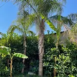 فندق مبيت وإفطار Perna Panoramic