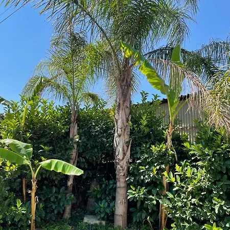 住宿加早餐酒店 Perna Panoramic