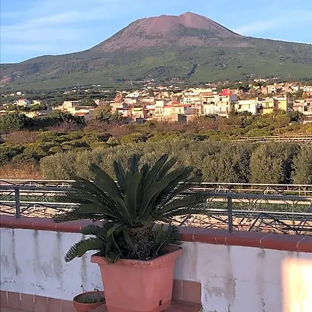 Perna Panoramic 3*