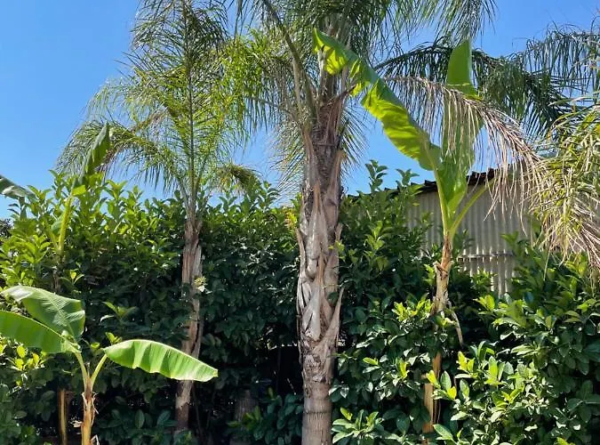 Bed & Breakfast Perna Panoramic